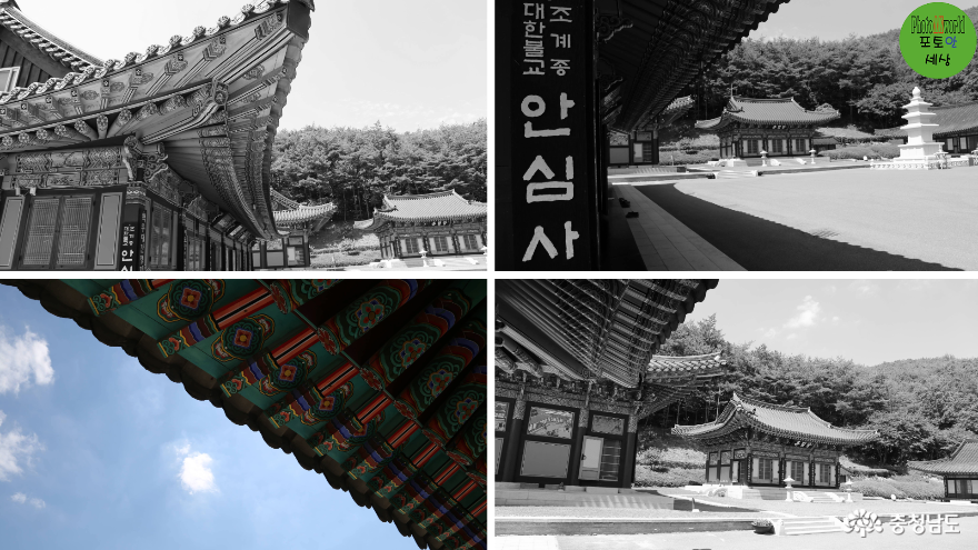 사진