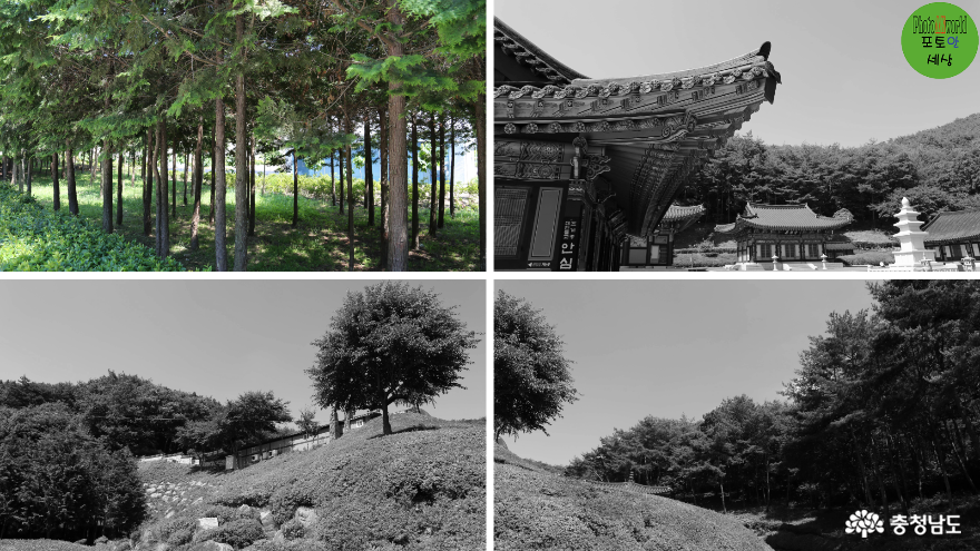 사진
