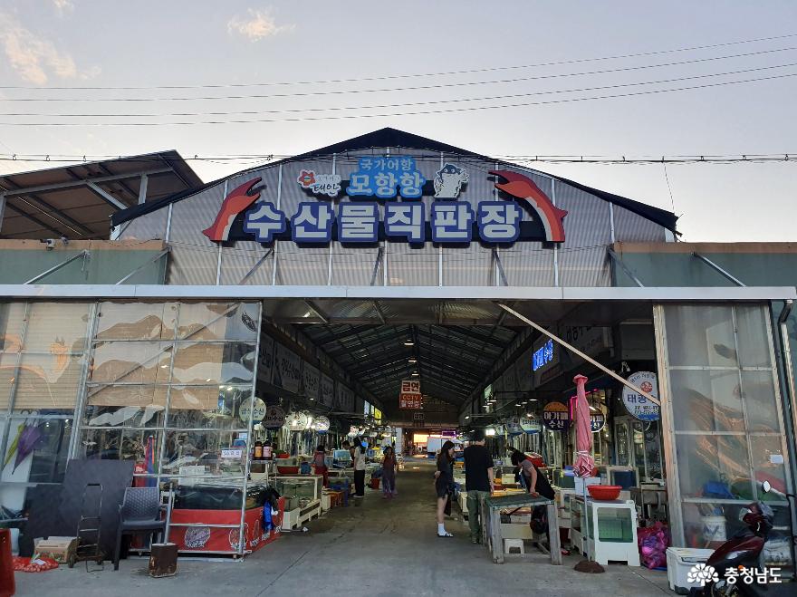 > > >충남관광 충남관광