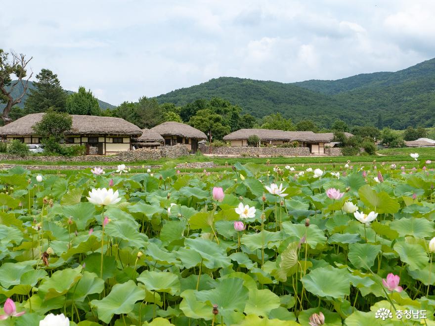충남관광
