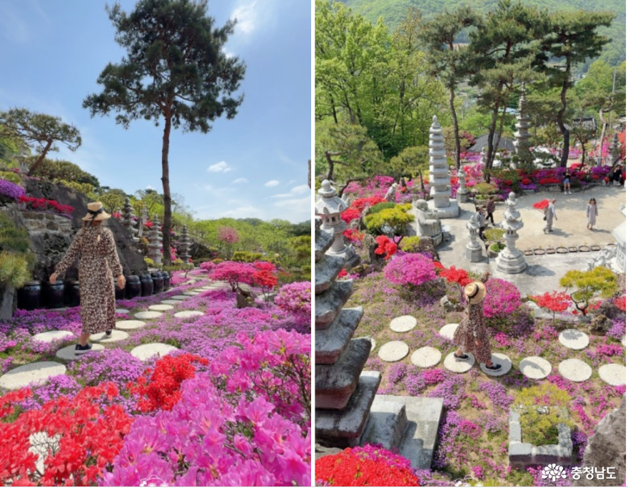 충청남도 누리집(홈페이지)