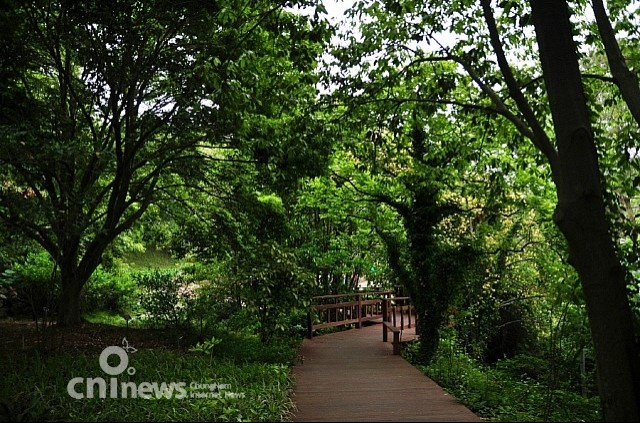 세상에서 가장 아름다운 천리포수목원 사진