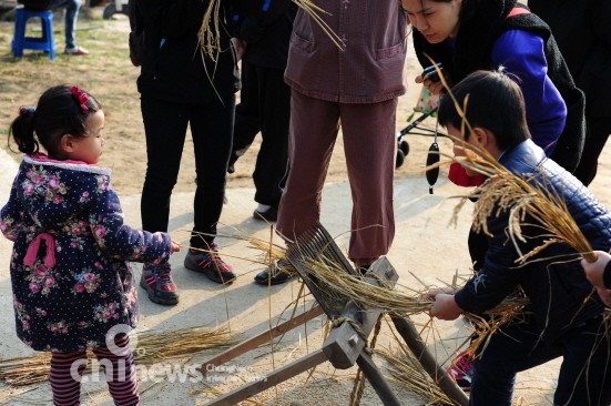 11월에 열리는 농경문화체험축제 사진