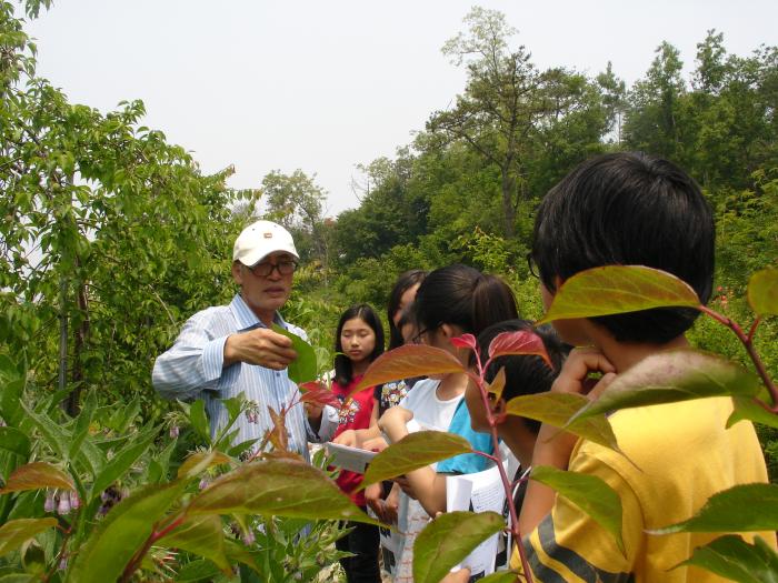 고산초의 생태체험학교 프로그램이 진행중이다.