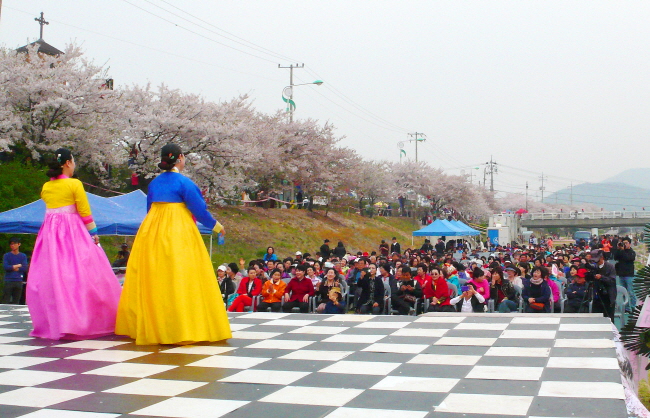 벚꽃음악회(민요 열창)