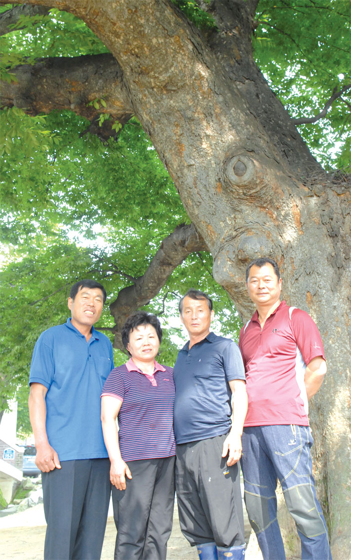 수령이 800년 된 예산 봉산면 봉림리마을 느티나무 앞에서 마을 일꾼인 (왼쪽부터) 김기홍 이장, 송정숙 씨, 이보원 새마을지도자, 이태형 총무가 한 자리에 모였다.