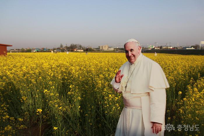 솔뫼성지 앞 교황님과 유채꽃