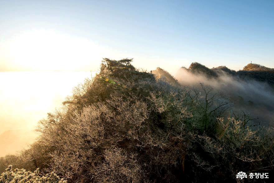 상고대 피고 운해가 흐르던 대둔산의 겨울 풍경