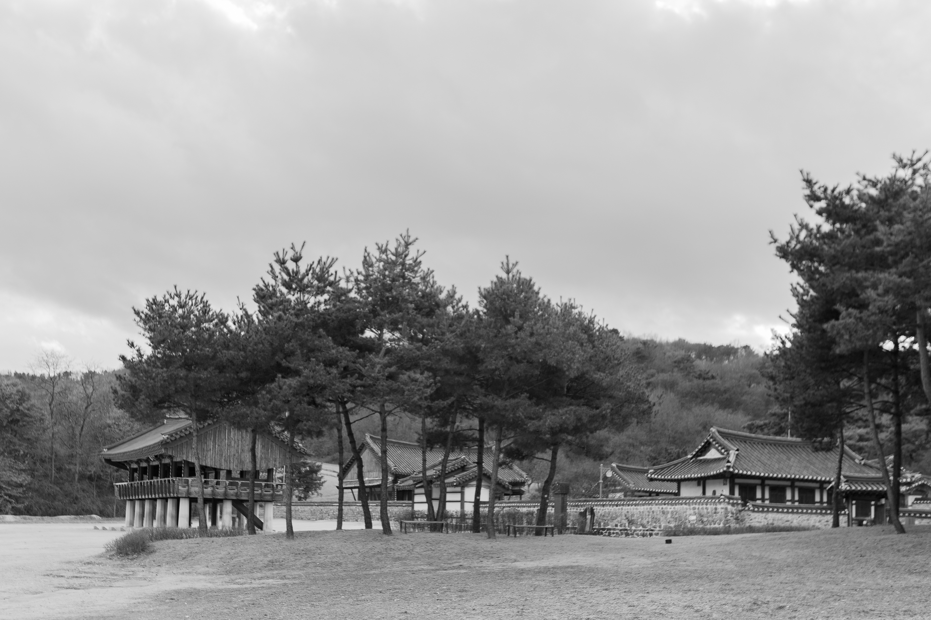 흑백사진으로 보는 세계유산 돈암서원
