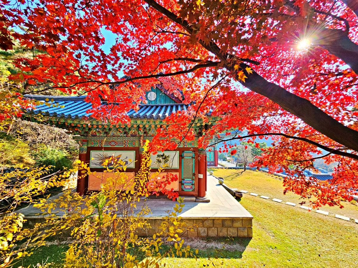 단풍으로 물든 각원사 풍경