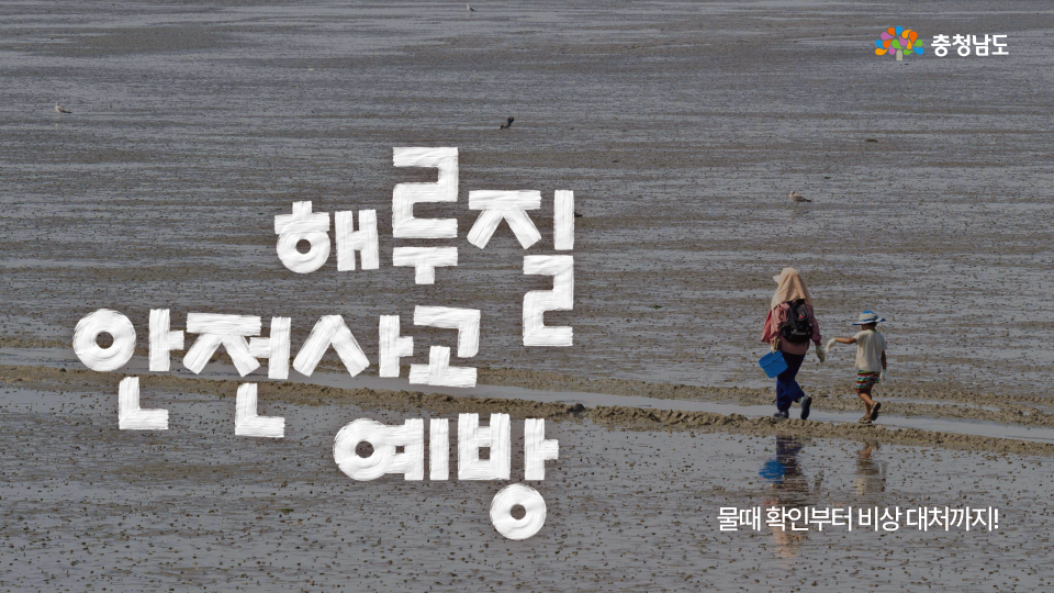 가을 갯벌, 조개보다 먼저 챙길 건 안전 수칙! 🦪
