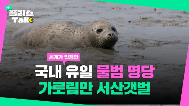 서산갯벌, 유네스코 세계자연유산 등재! 10년의 인내가 만든 기적 | 플라스Talk 9월 1차