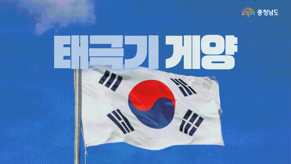 제81주년 광복절, 우리 집에도 태극기를 달아주세요🇰🇷