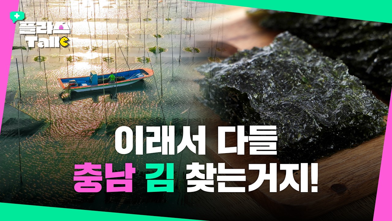 밥상 위의 검은 반도체! 충남김이 세계를 사로잡는 이유 | 플라스Talk 5월 3차