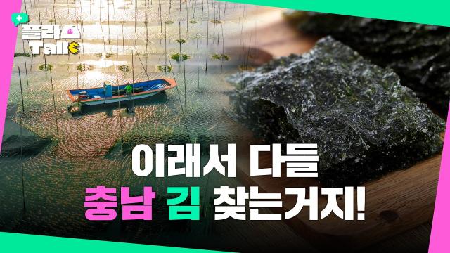 밥상 위의 검은 반도체! 충남김이 세계를 사로잡는 이유 | 플라스Talk 5월 3차