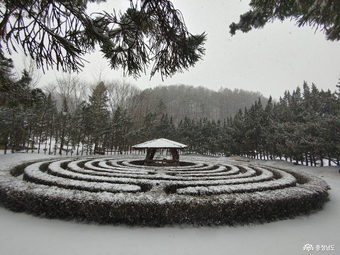 힐링과 감성의 공간, 금산지구별그림책마을을 가다