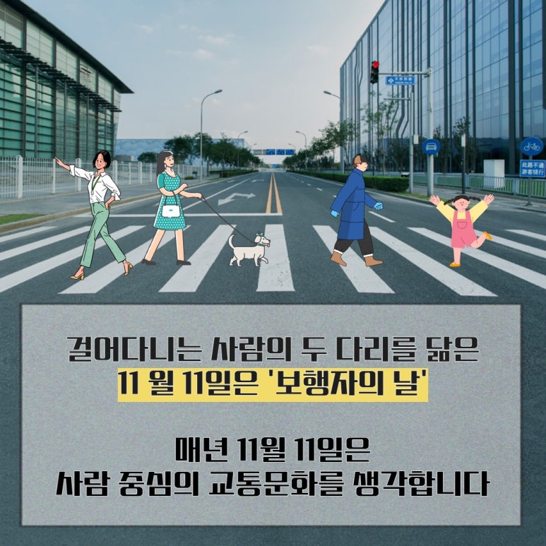 11월 11일은 무슨 날? 보행자의 날입니다! 관련사진 5