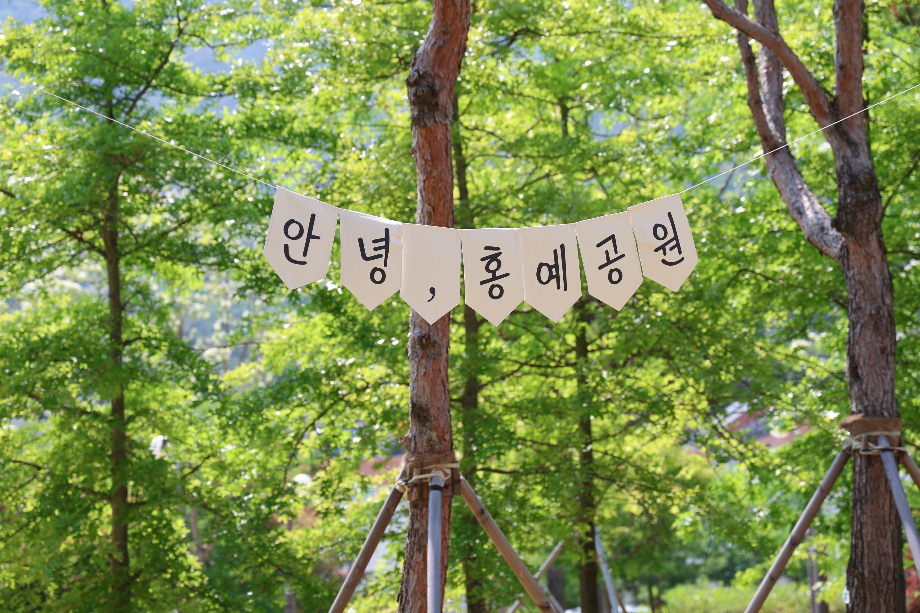 소나무숲길