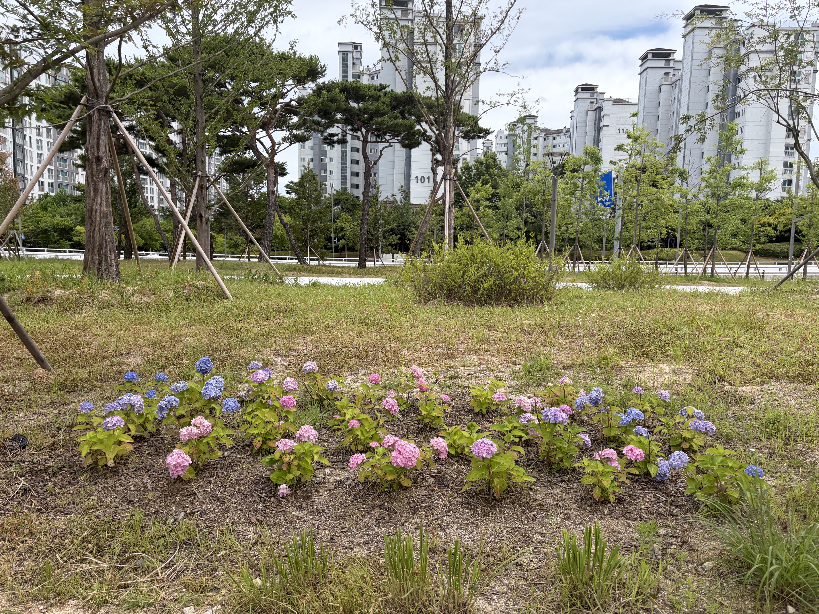 수국원