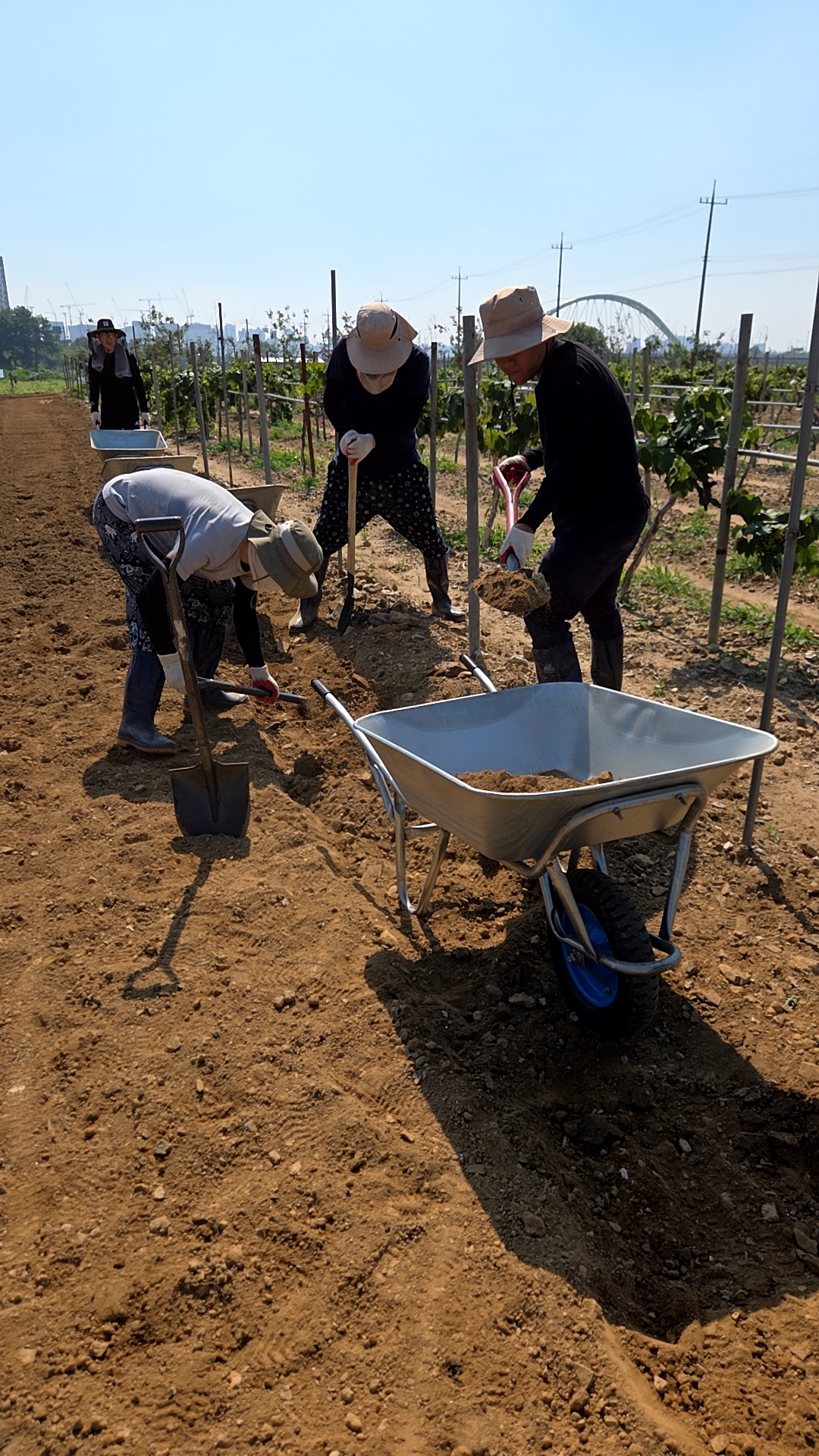 아산시 탕정면 극한호우 피해농가 지원 관련사진 c544858fc15545d7b3b81ee3d111c3b8.jpg