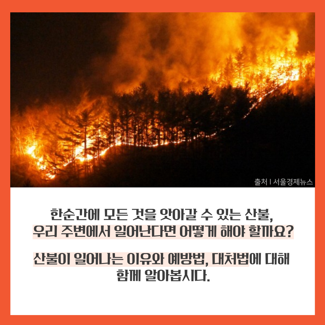 산불예방안내서(청년서포터즈 순천향대 홍보팀 제작) 관련사진 2