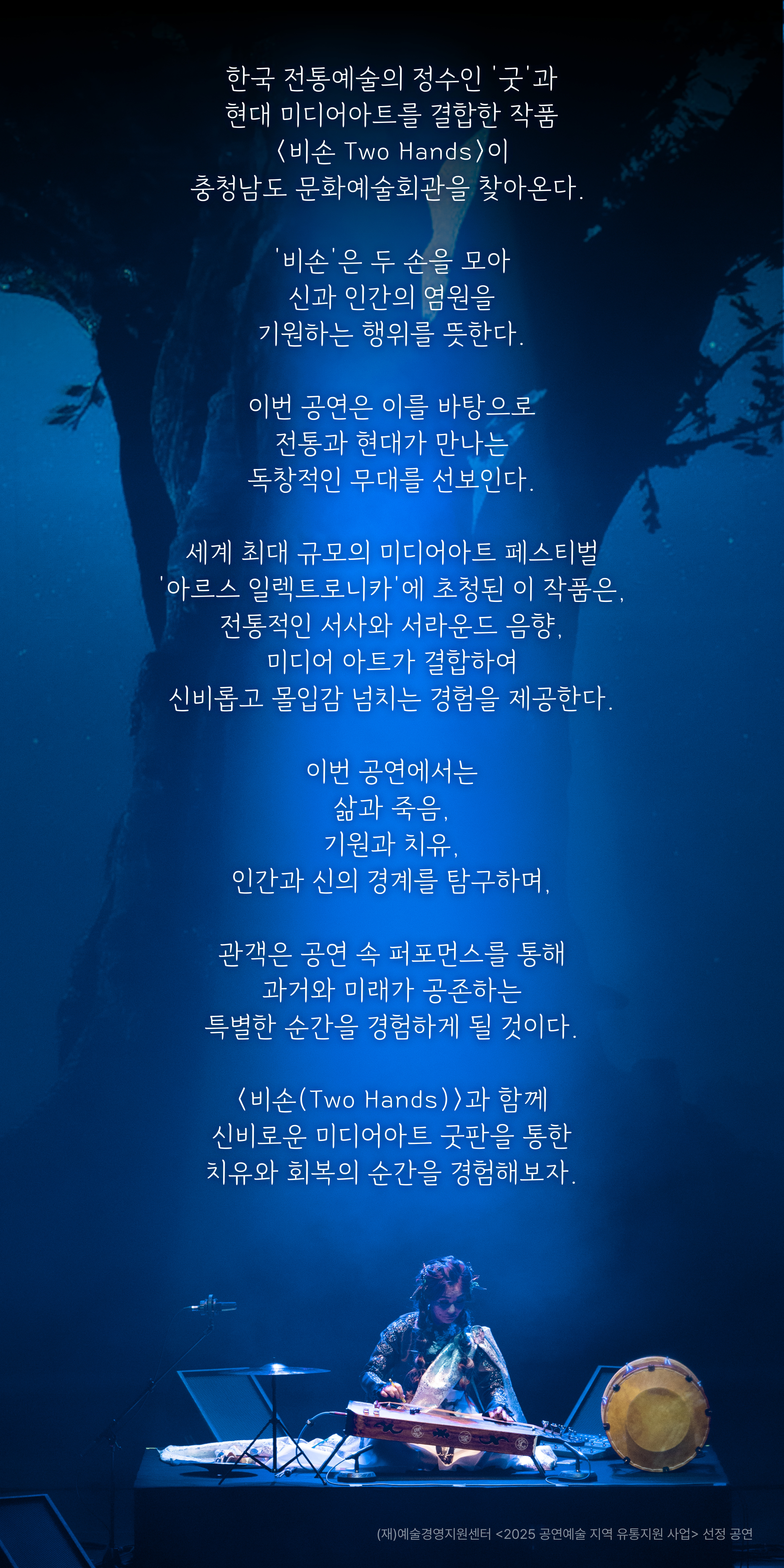 03 비손-상세페이지.jpg