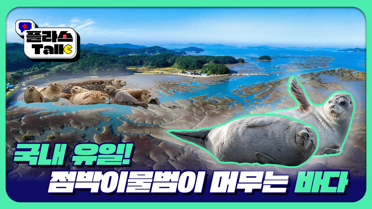 2025년 플라스Talk 9월 4차