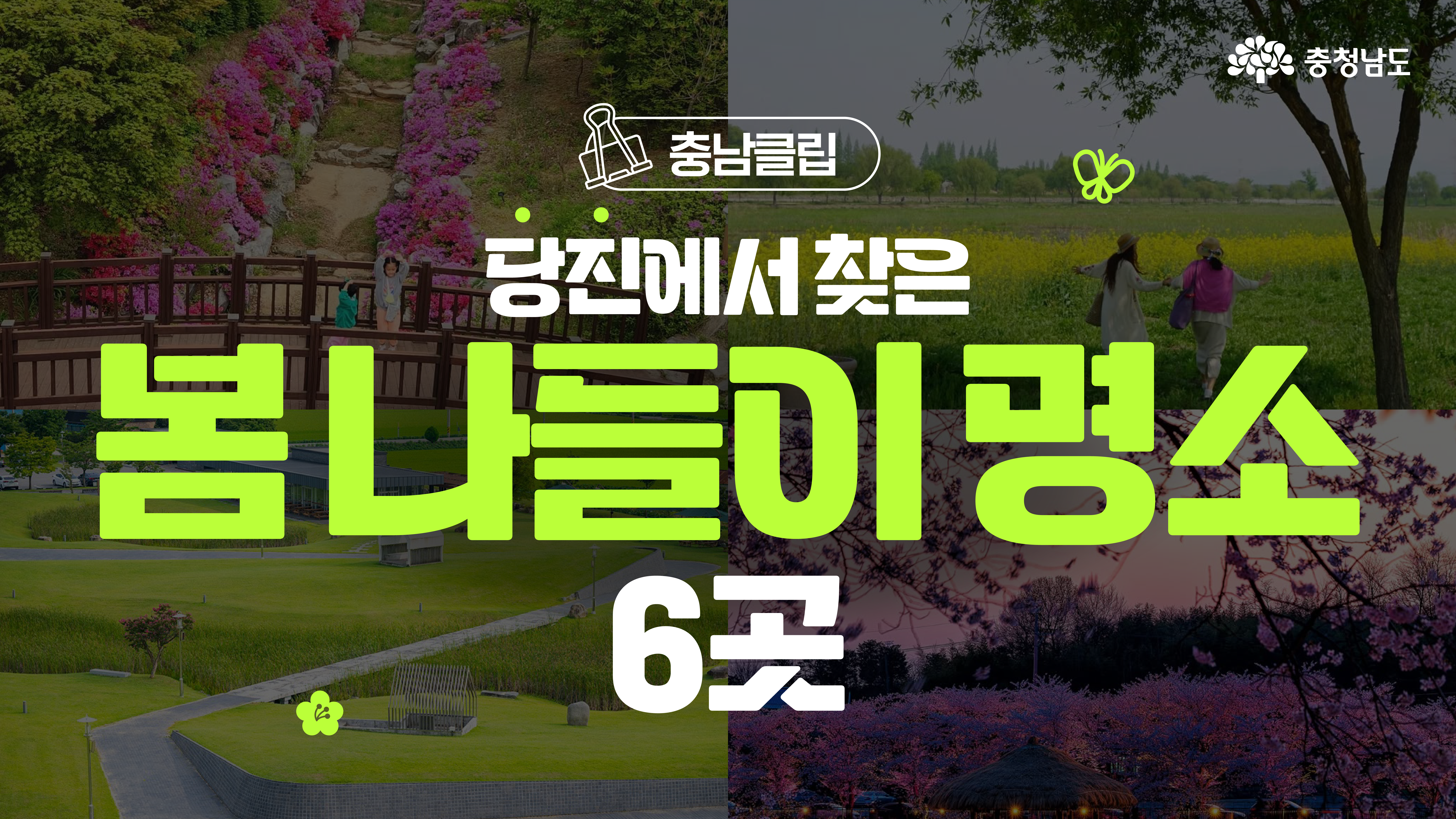 상단에는 분홍색 꽃과 들판을 배경으로 두 명의 여성이 손을 잡고 걷는 모습이 보이고, 하단에는 벚꽃이 만개한 호수 위 정자와 신리성지 잔디 풍경이 조합되어 있습니다. “당진에서 찾은 봄나들이 명소 6곳”이라는 문구가 중심에 강조되어 있습니다.