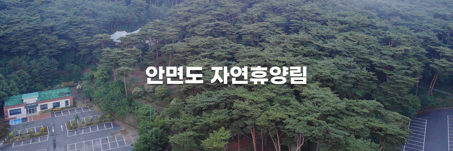 안면도자연휴양림