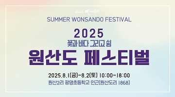 2025 원산도 페스티벌