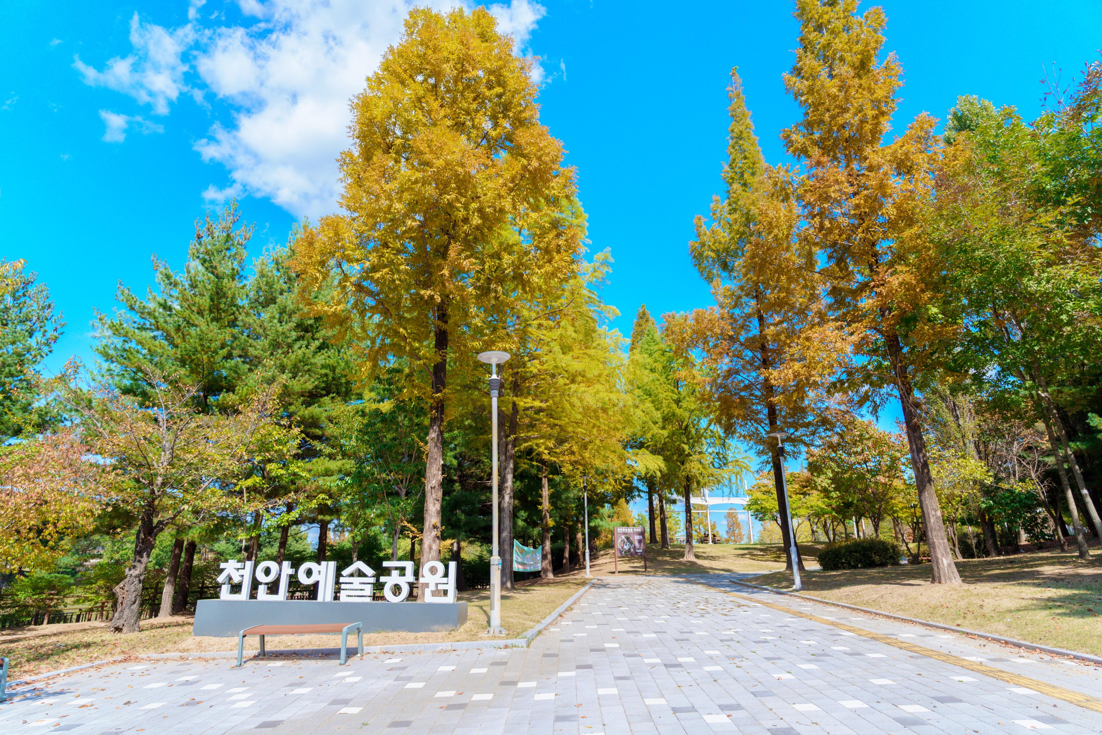 천안 문화예술 당일코스 천안시립미술관 & 천안예술공원