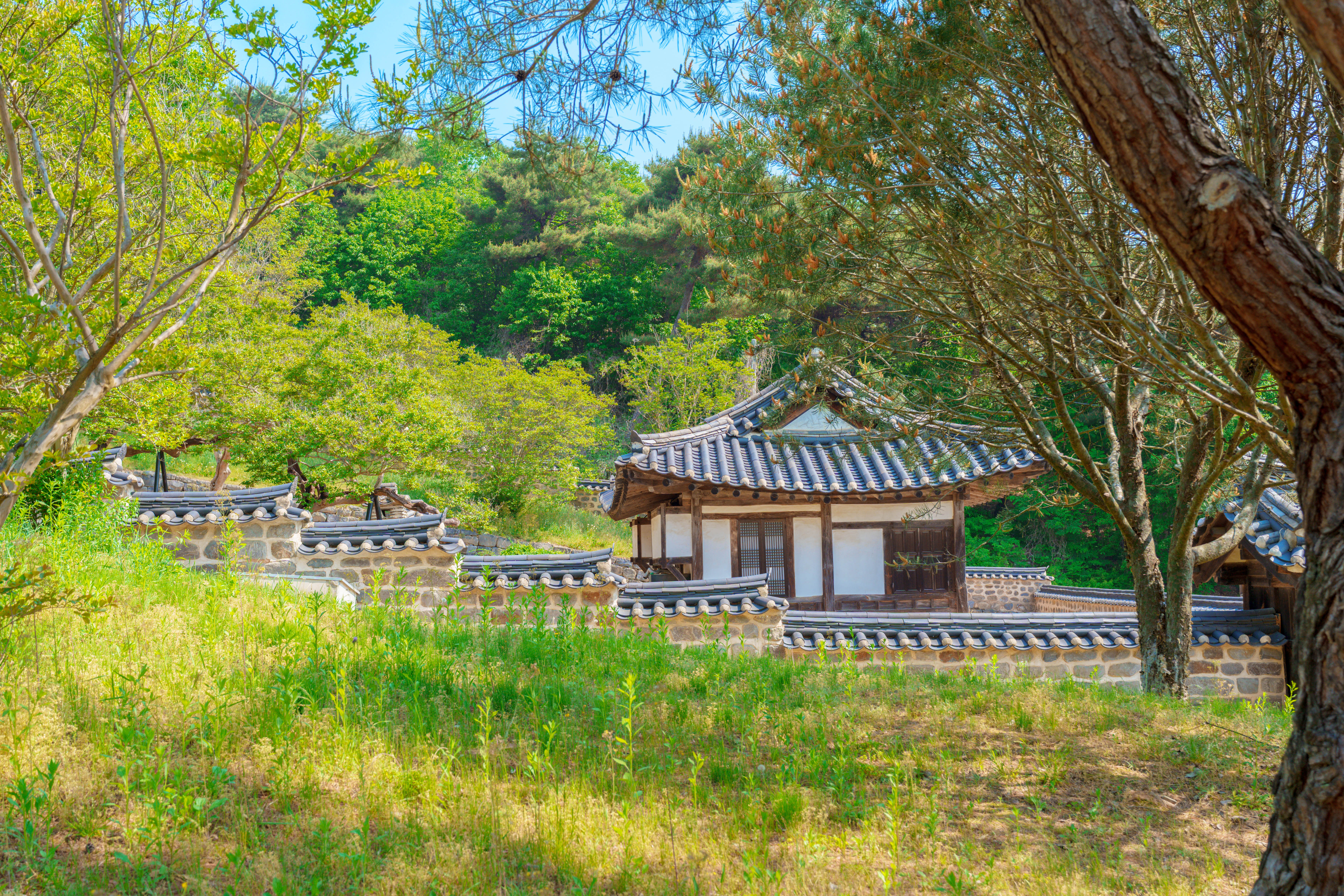 논산 유교 문화 여행 종학당과 금곡서원을 걷다 