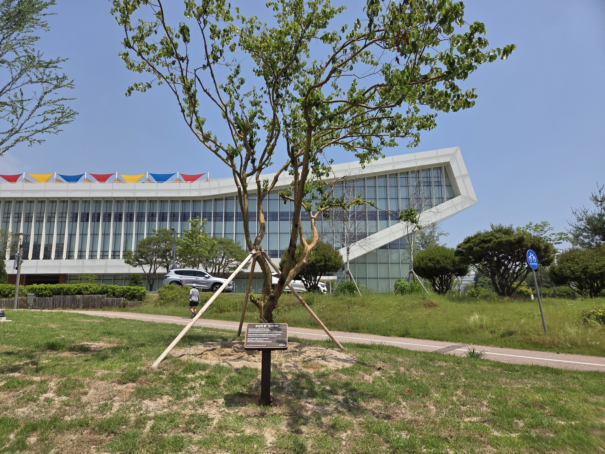 금강의 향 &lsquo;모과나무&rsquo;