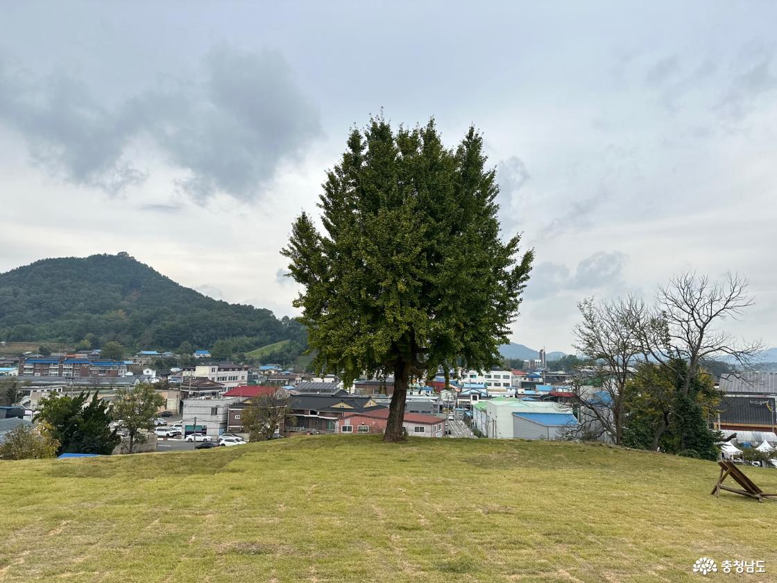 한산읍성을 대표할만한 포토존 