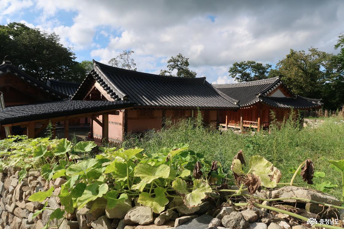 먹거리 - 충청남도 누리집(홈페이지) 충청남도 누리집(홈페이지)