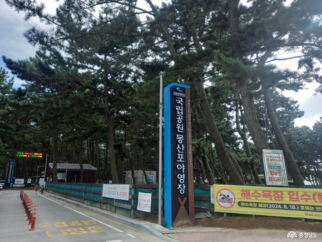 소나무 숲 사이에 야영장이 있고 입구에 국립공원 몽산포 야영장 현판이 크게 위치해 있는 모습