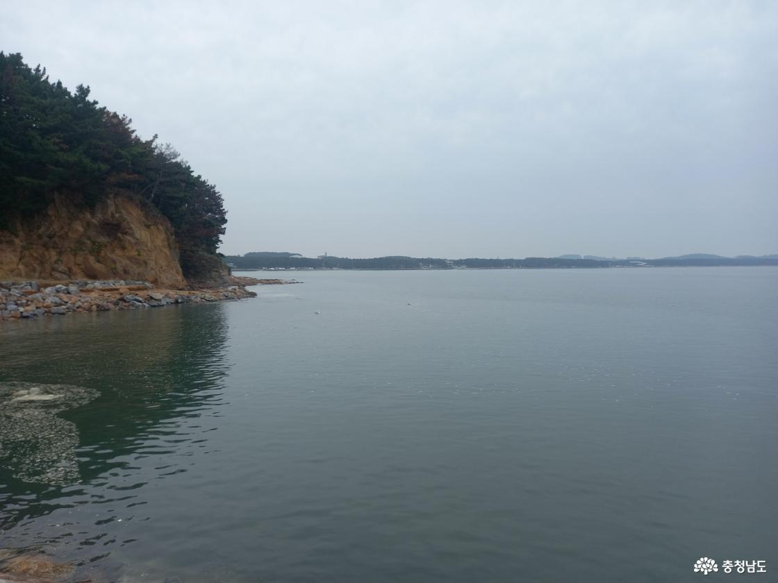 왼쪽이 소나무 숲이 있고 바닷물이 가득찬 모습