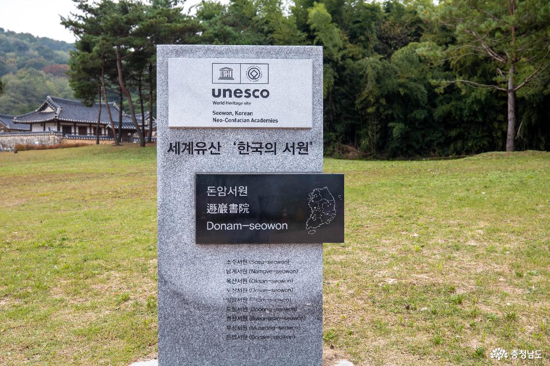 코스모스 아름다운 논산 돈암서원