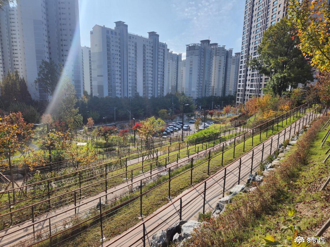 노태근린공원 풍경 이미지