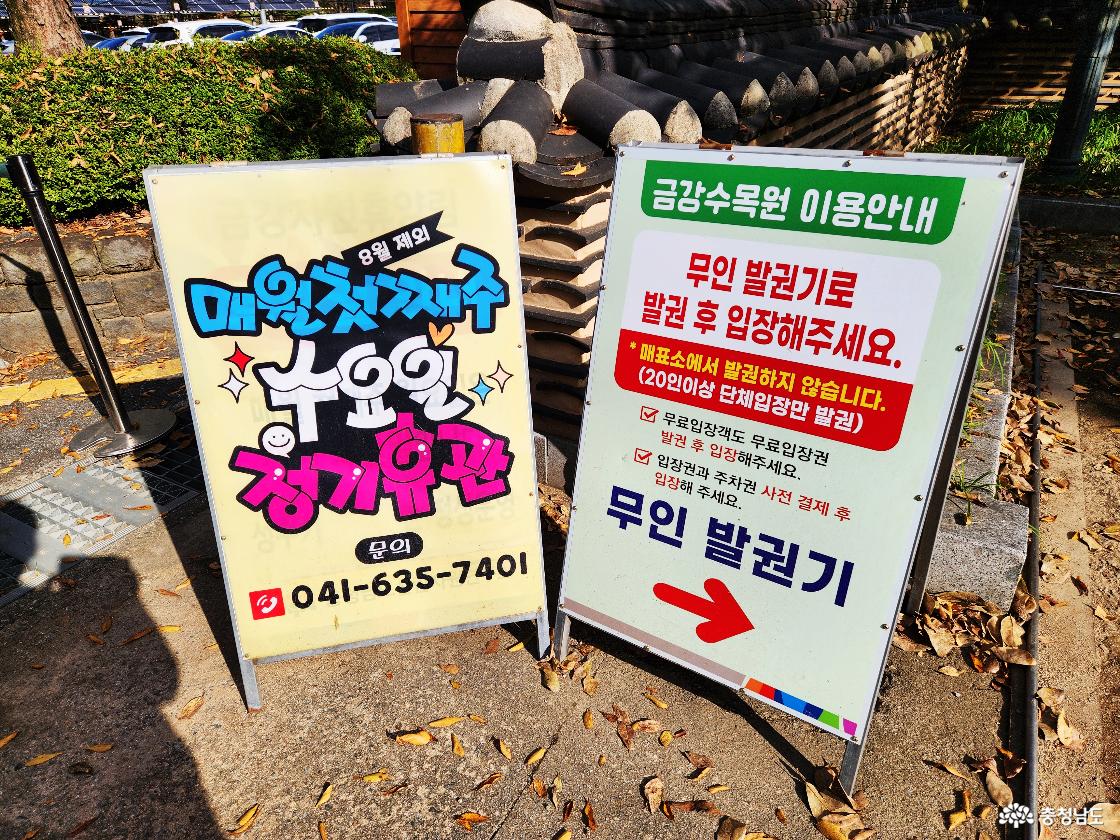 휴양림의 가을빛자연으로 충만했던 하루