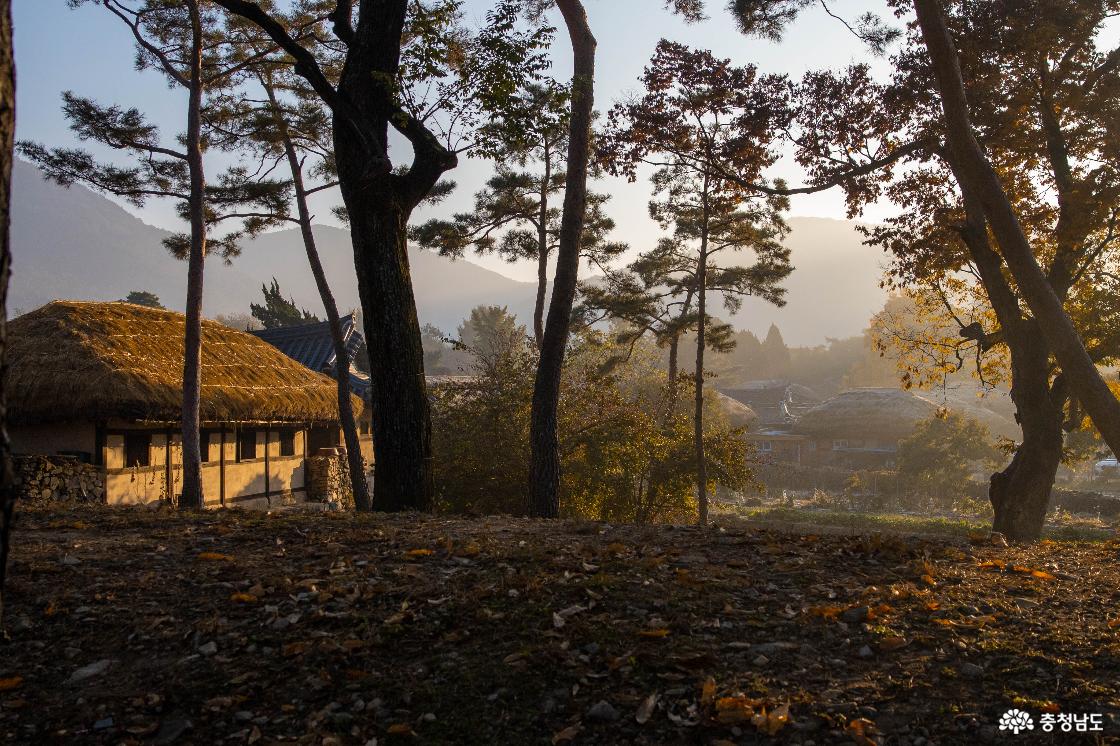 외암민속마을의 가을 풍경