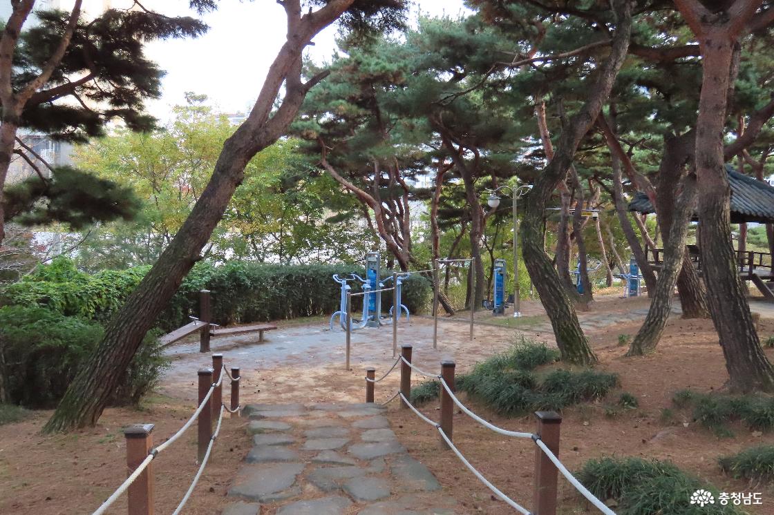 도시숲 남장달 산림공원 산책로