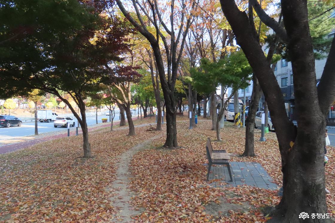 예산종합터미널 녹지대 가을풍경