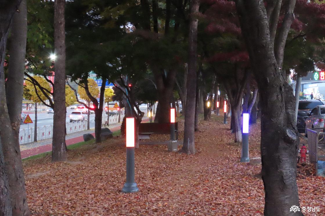 예산종합터미널 녹지대 산책로 야간 조명