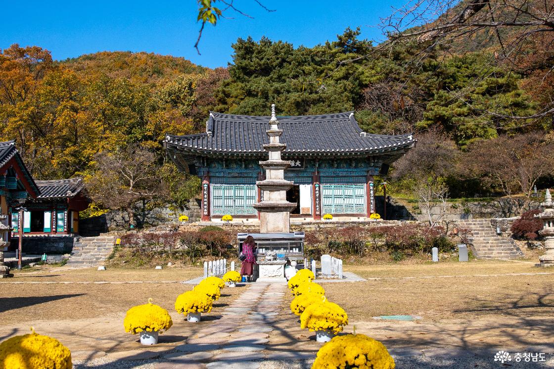 공주 계룡산 신원사 단풍