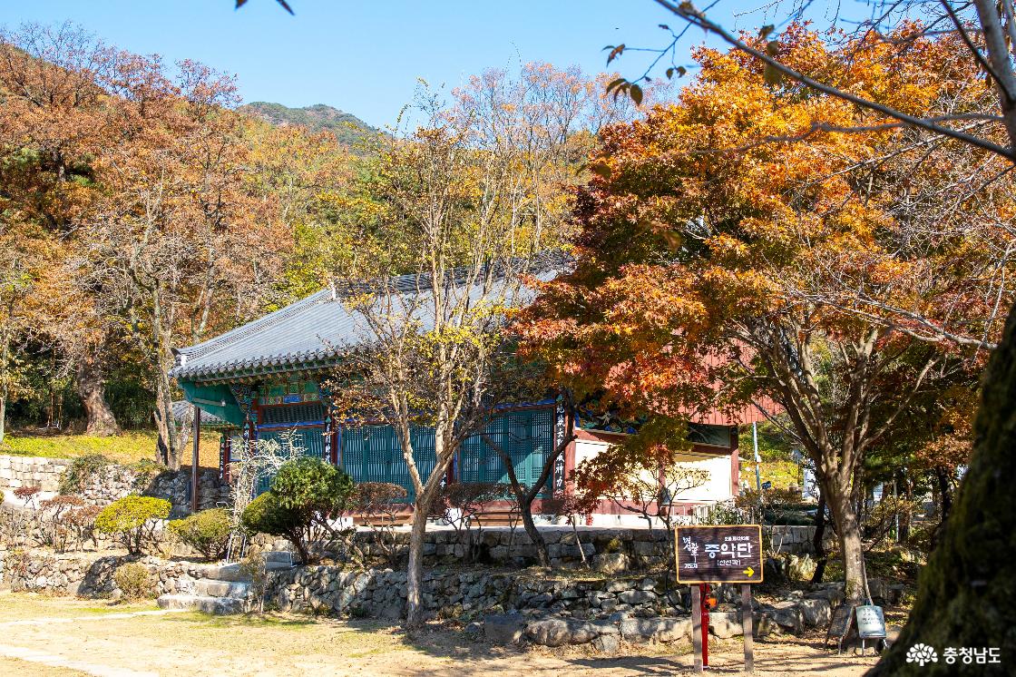 공주 계룡산 신원사 단풍