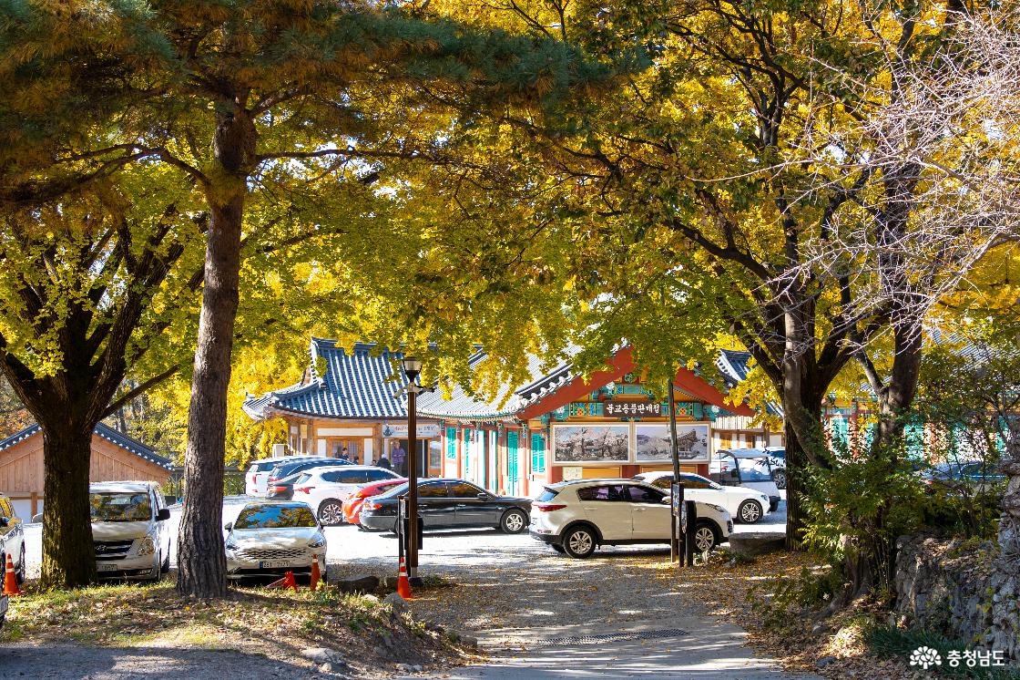 공주 계룡산 신원사 단풍