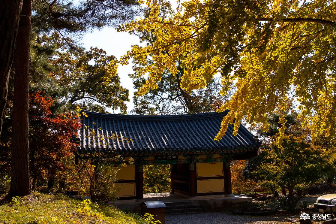 공주 계룡산 신원사 단풍