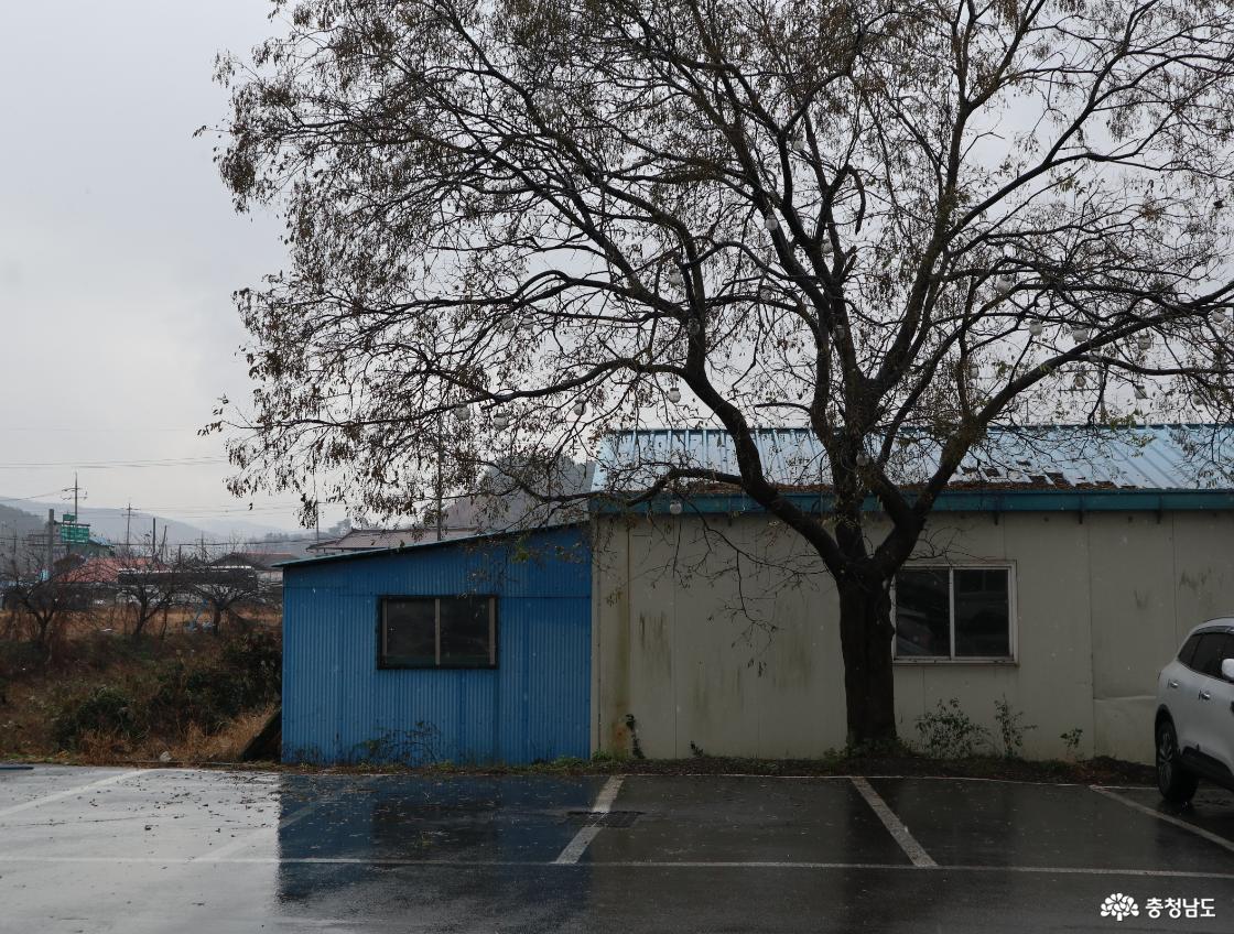 서천군 대표 착한가게업소 겸 모범음식점 