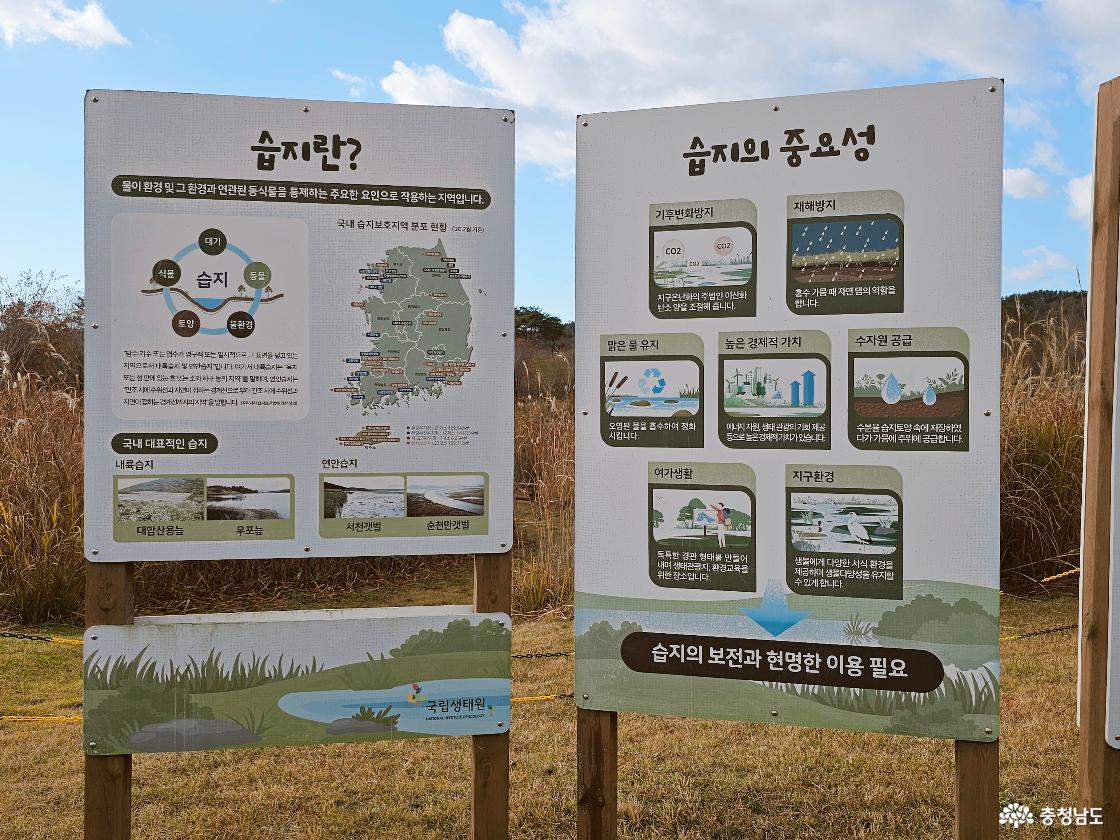 습지란